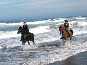 Riders in the surf, Ten Mile Beach