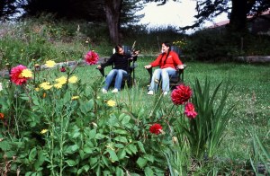 relaxing in the garden