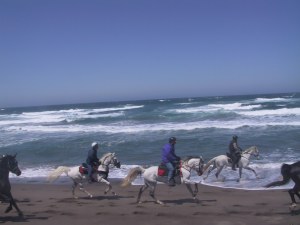 Cantering on Ten Mile Beach