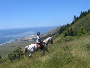 Sky on Ricki horse, North California