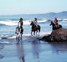 Riders Rounding Three Rock